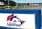 MAR DEL PLATA: TRAS EL COLAPSO,  “AQUARIUM” SALE A VENDER PINQÜINOS