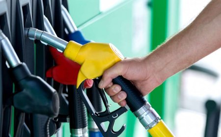 ARGENTINA: LA NAFTA ALCANZÓ UN PRECIO RÉCORD EN DÓLARES