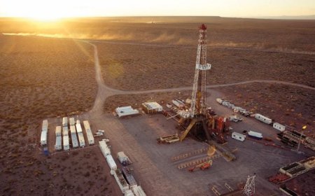 PETROLERAS SE LANZAN AL RIGI POR VACA MUERTA