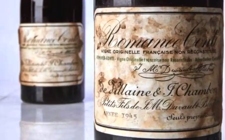 PAGARON MÁS DE  U$S 800 MIL  POR  UNA BOTELLA DE VINO. Lo harías?