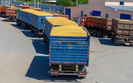 RETENCIONES AL CAMPO: CUÁNDO CUÁNDO DEJARÁN DE EXISTIR?