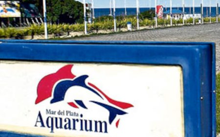 MAR DEL PLATA: TRAS EL COLAPSO,  “AQUARIUM” SALE A VENDER PINQÜINOS