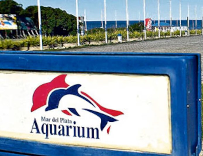 MAR DEL PLATA: TRAS EL COLAPSO,  “AQUARIUM” SALE A VENDER PINQÜINOS