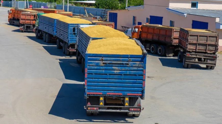 RETENCIONES AL CAMPO: CUÁNDO CUÁNDO DEJARÁN DE EXISTIR?