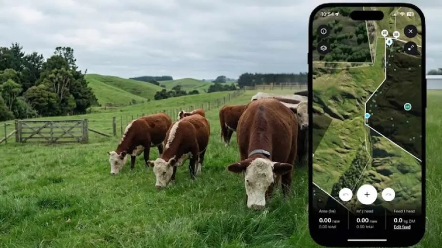LANZAN UNA STARTUP QUE REVOLUCIONA EL CAMPO. Alambrados virtuales y manejo de vacas por celular.