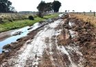 PBA: INTENDENTES DEL SUDESTE PREOCUPADOS POR REBELIÓN CAMPERA VINCULADA AL PAGO DE TASAS VIALES