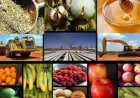 PROPONEN BAJA GRADUAL DE LAS RETENCIONES PARA MEJORAR COMPETITIVIDAD EXPORTADORA
