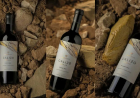 CUÁNTO CUESTA EL VINO ARGENTINO  ELEGIDO EN LONDRES COMO EL MEJOR MALBEC