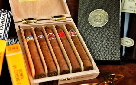 EL FASCINANTE MUNDO DE LOS HABANOS