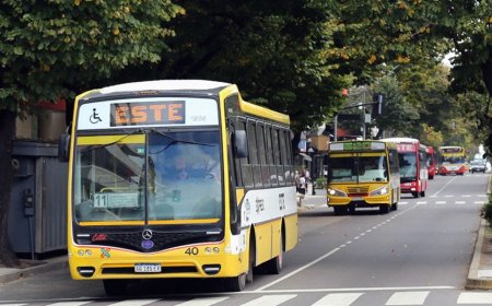 EL GOBIERNO DE LA PROVINCIA AUTORIZÓ UN AUMENTO DE COLECTIVO  DEL 11,6%