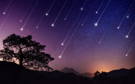 LLUVIA DE ESTRELLAS EN LA ARGENTINA: Cúando y a qué hora se verá?