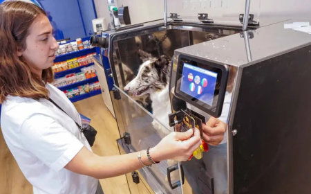 YA FUNCIONA EN ARGENTINA UN  “LAVADERO AUTOMÁTICO” DE PERROS