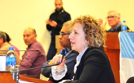 VIVIANA FARÍAS “CREO QUE ESTÁN DADAS LAS CONDICIONES PARA INTERPELAR AL INTENDENTE”
