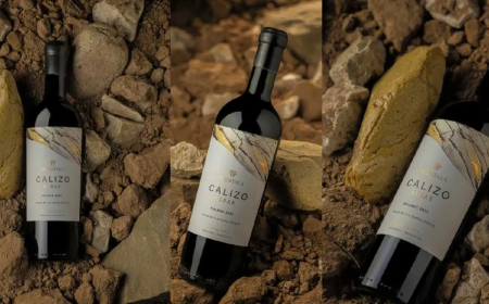 CUÁNTO CUESTA EL VINO ARGENTINO  ELEGIDO EN LONDRES COMO EL MEJOR MALBEC