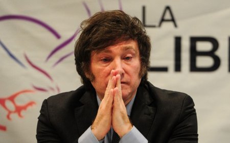 DENUNCIAN PENALMENTE AL PRESIDENTE MILEI POR VETO A UNA CANDIDATA JUEZA PARIENTE DE UN PERIODISTA