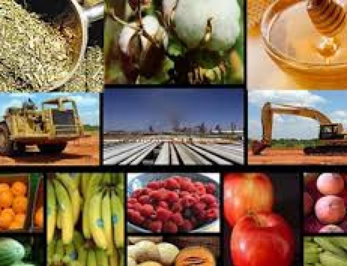 PROPONEN BAJA GRADUAL DE LAS RETENCIONES PARA MEJORAR COMPETITIVIDAD EXPORTADORA