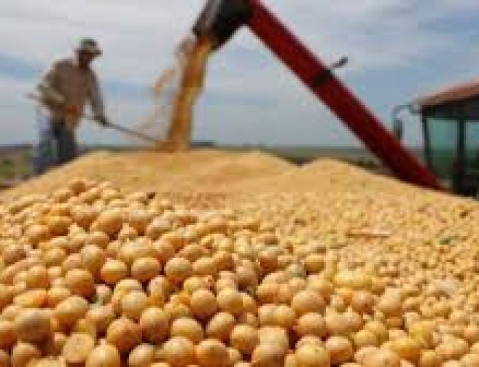 MEJORAN ESTIMACIONES DE PRODUCCIÓN DE SOJA Y MAÍZ