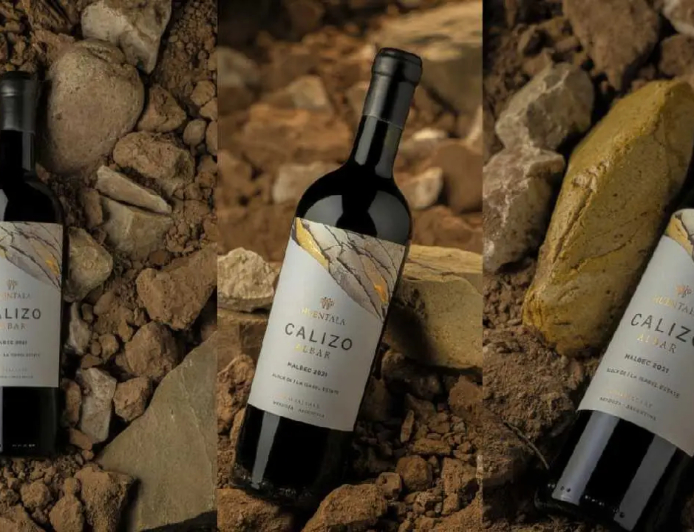 CUÁNTO CUESTA EL VINO ARGENTINO  ELEGIDO EN LONDRES COMO EL MEJOR MALBEC