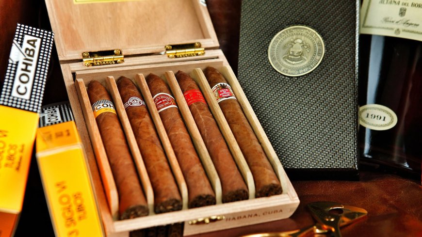 EL FASCINANTE MUNDO DE LOS HABANOS