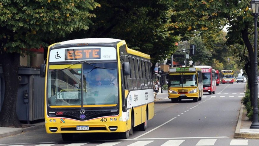 EL GOBIERNO DE LA PROVINCIA AUTORIZÓ UN AUMENTO DE COLECTIVO  DEL 11,6%