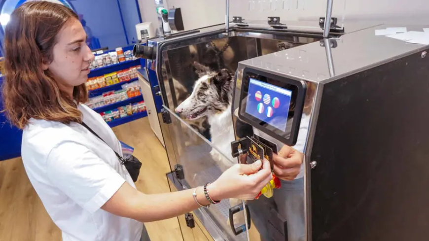 YA FUNCIONA EN ARGENTINA UN  “LAVADERO AUTOMÁTICO” DE PERROS