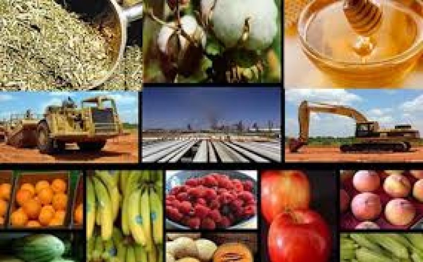 PROPONEN BAJA GRADUAL DE LAS RETENCIONES PARA MEJORAR COMPETITIVIDAD EXPORTADORA