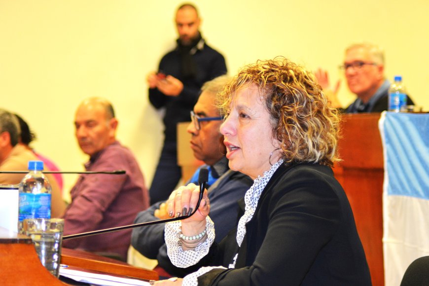 VIVIANA FARÍAS “CREO QUE ESTÁN DADAS LAS CONDICIONES PARA INTERPELAR AL INTENDENTE”