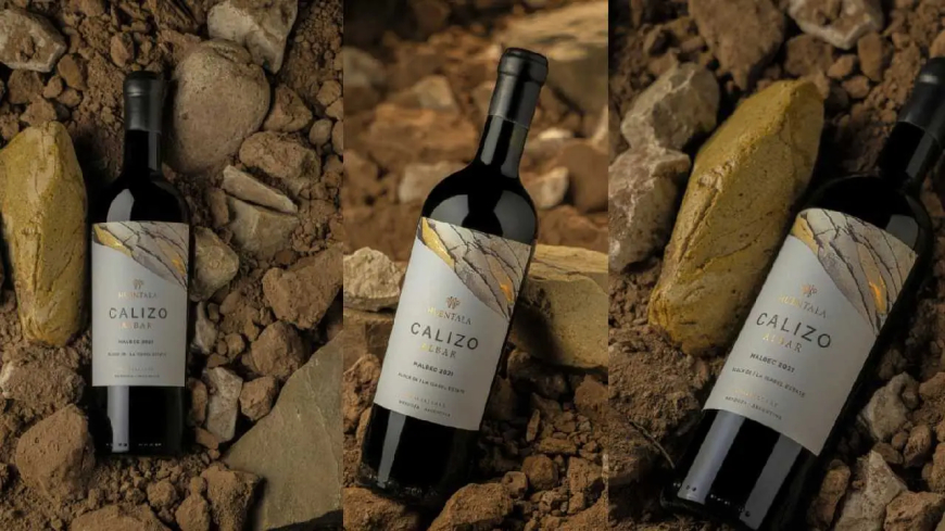 CUÁNTO CUESTA EL VINO ARGENTINO  ELEGIDO EN LONDRES COMO EL MEJOR MALBEC