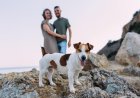 MENOS HIJOS, MÁS MASCOTAS; LA TENDENCIA QUE ANALIZAN LAS PREPAGAS