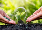 5 DE JUNIO: DÍA MUNDIAL DEL MEDIO AMBIENTE