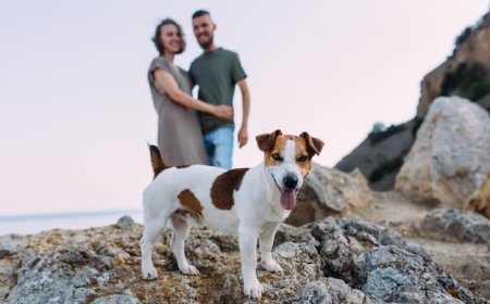 MENOS HIJOS, MÁS MASCOTAS; LA TENDENCIA QUE ANALIZAN LAS PREPAGAS