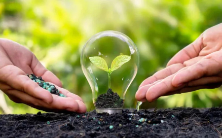 5 DE JUNIO: DÍA MUNDIAL DEL MEDIO AMBIENTE