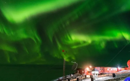 MUESTRAN AURORAS AUSTRALES  DESDE LA ANTÁRTIDA
