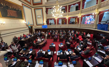 MAGARIO Y BERNI SE CRUZARON FUERTE EN LA PRIMERA SESIÓN DEL SENADO