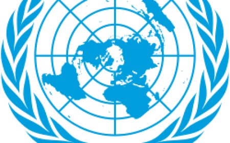 NUEVO RESPALDO DE LA ONU AL RECLAMO ARGENTINO POR MALVINAS