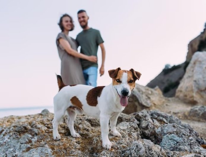 MENOS HIJOS, MÁS MASCOTAS; LA TENDENCIA QUE ANALIZAN LAS PREPAGAS