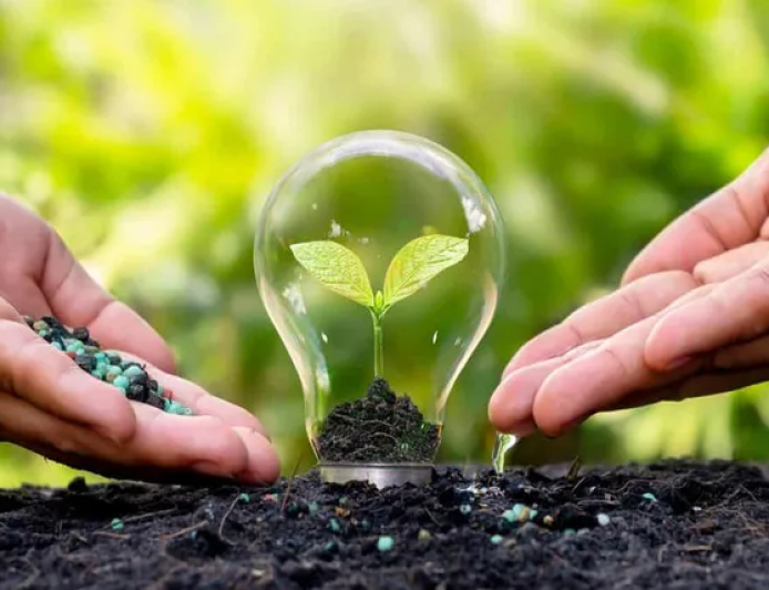 5 DE JUNIO: DÍA MUNDIAL DEL MEDIO AMBIENTE