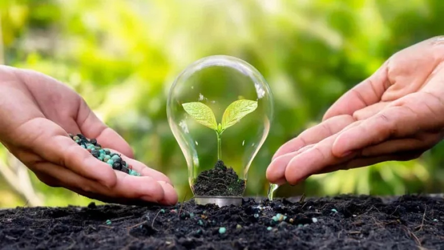 5 DE JUNIO: DÍA MUNDIAL DEL MEDIO AMBIENTE