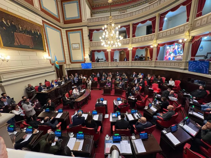 MAGARIO Y BERNI SE CRUZARON FUERTE EN LA PRIMERA SESIÓN DEL SENADO