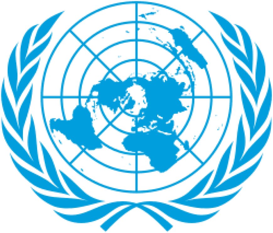 NUEVO RESPALDO DE LA ONU AL RECLAMO ARGENTINO POR MALVINAS