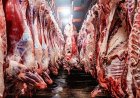 LAS EXPORTACIONES DE CARNE ARGENTINA CRECIERON MÁS DE UN 40% EN EL PRIMER SEMESTRE DEL AÑO.
