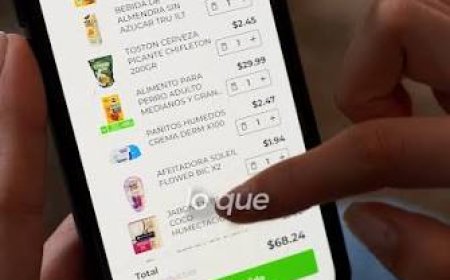 CADA VEZ MÁS ARGENTINOS HACEN LAS COMPRAS DEL SUPERMERCADO ONLINE