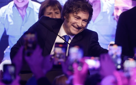 UNA ENCUESTA MIDIÓ LAS CHANCES DEL PRESIDENTE  MILEI DE SER REELECTO