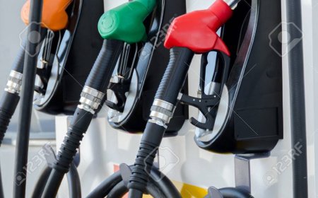 ES CARO O BARATO EL PRECIO DE LA NAFTA EN ARGENTINA?