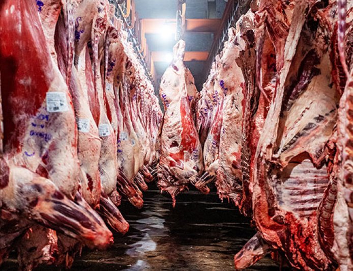 LAS EXPORTACIONES DE CARNE ARGENTINA CRECIERON MÁS DE UN 40% EN EL PRIMER SEMESTRE DEL AÑO.