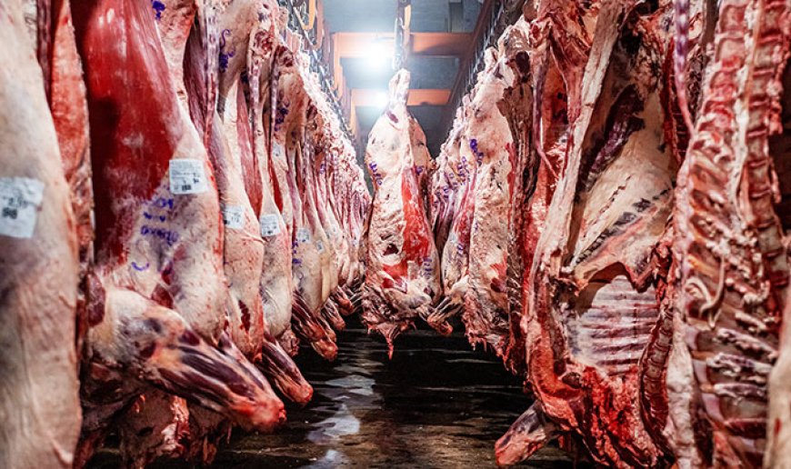 LAS EXPORTACIONES DE CARNE ARGENTINA CRECIERON MÁS DE UN 40% EN EL PRIMER SEMESTRE DEL AÑO.