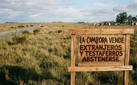 PBA: LA CÁMPORA IMPULSA LEY PARA FRENAR VENTA DE TIERRAS A EXTRANJEROS