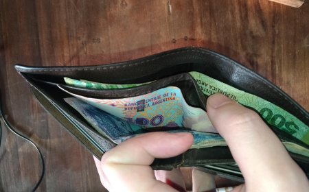 ¿POR QUÉ  NO ALCANZA EL SUELDO?.  De cada $ 100 mil,  se pierden $ 12 mil.