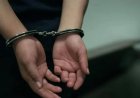 JUSTICIA PENAL JUVENIL: COMIENZA UNA NUEVA ETAPA. En qué consiste?