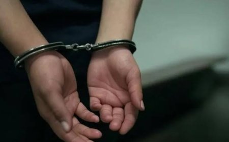 JUSTICIA PENAL JUVENIL: COMIENZA UNA NUEVA ETAPA. En qué consiste?